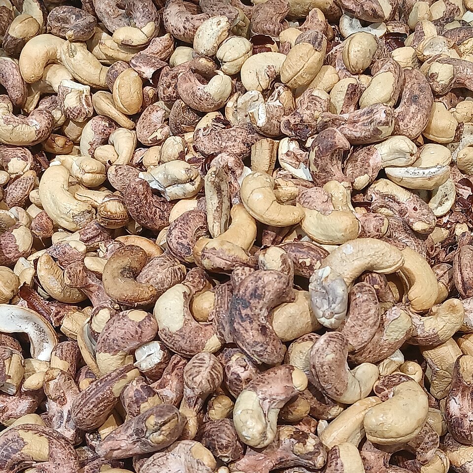 Raw Cashew — export grade